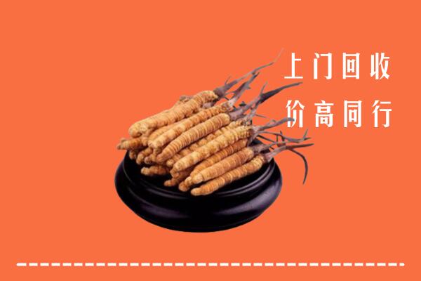高价求购：巩留县回收散虫草