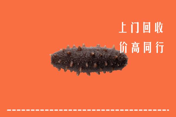 收购行情：巩留县回收海参